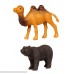 Safari Ltd. Wild TOOB with 12 Great Jungle Friends Including a Giraffe Brown Bear Tiger Camel Lion Crocodile Gorilla Hippo Rhino Zebra Panther and Elephant Discontinued by Manufacturer B000BNEOS0